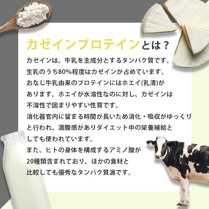カゼインプロテイン 1kg リッチチョコレート スロープロテイン 国内加工 (MADPROTEIN) マッドプロテイン