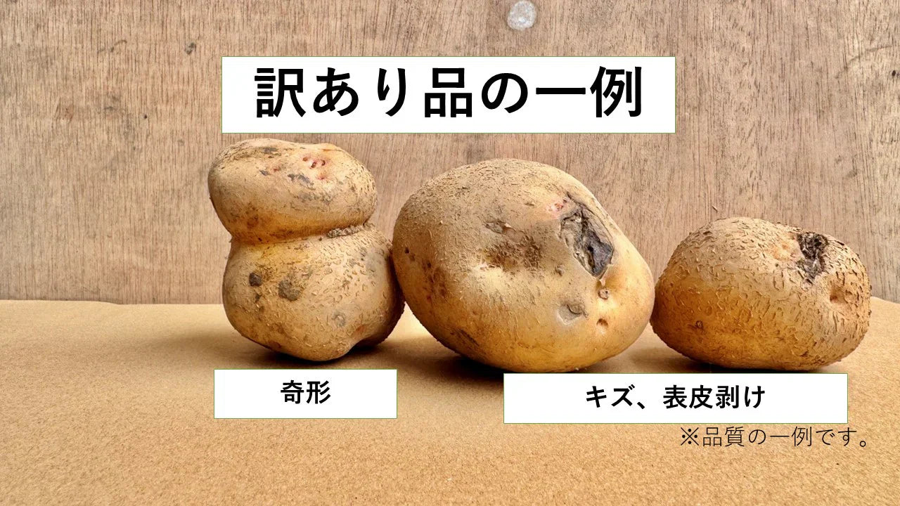 訳あり北海道じゃがいも　5kg