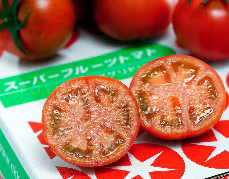 トマト 高糖度フルーツトマト 国産 ご家庭用 茨城県産 約900g（9〜16玉入） 糖度9度以上 中玉トマト 高級 ギフト プレゼント 産地直送 甘い 国産 ジュース ゼリー