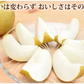 梨 送料無料 訳あり 1kg お取り寄せ 九州産 ナシ 和梨 幸水 豊水 秋月 新高 新興 愛宕