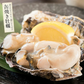カキ 牡蠣 缶焼き かき 2kg （殻付き 約22〜30個） 冷凍牡蠣 冷凍かき 冷凍カキ 殻付き牡蠣 カンカン焼き かんかん焼き 美味しいお取り寄せ 冷凍グルメ 美味しいギフト 一斗缶 お取り寄せグルメ 海鮮 美味しい BBQ バーべーキュー 冷凍 軍手 ナイフ付き ［送料無料］ 母の日