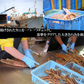 ズワイガニ姿 2尾 ズワイガニ姿ボイル ボイルズワイガニ姿 1.5kg ズワイガニ ずわい蟹 カニ姿 蟹姿 蟹 カニ かに 年末年始 メーカー直送　shr-012