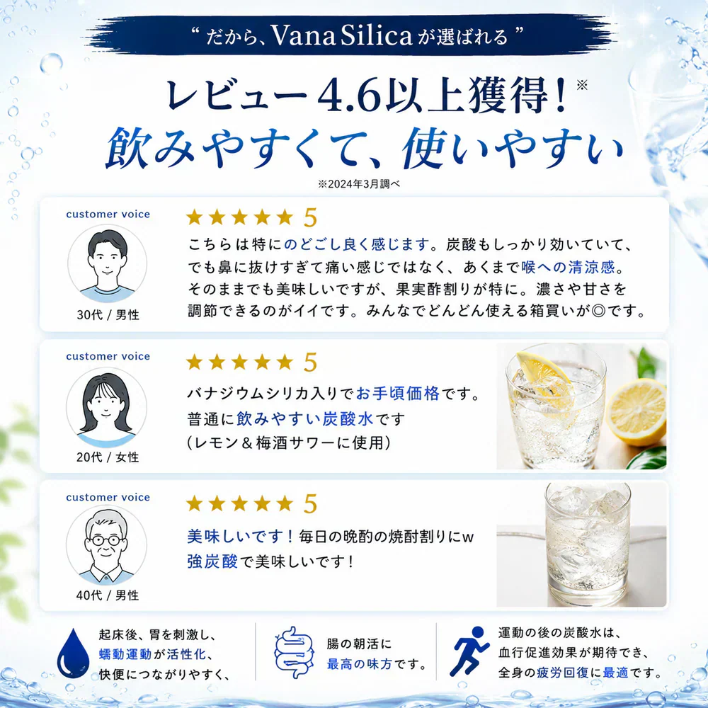 【1ケース】 富士山のバナジウム＆シリカ 強炭酸水 VanaSilica（バナシリカ） 500ml 24本 プレーン