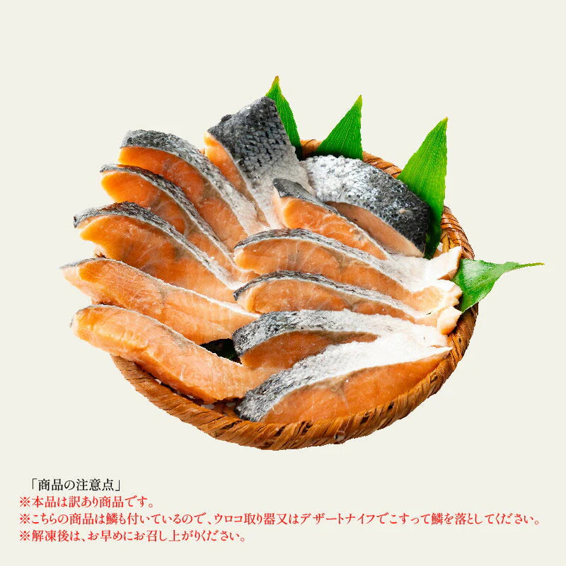 訳あり 鮭 切り身 1kg シミあり B級 お徳用 業務用 シミ 大容量 さけ 魚 さかな 冷凍 大量 お得 プレゼント ギフト ギフト ギフト プレゼント