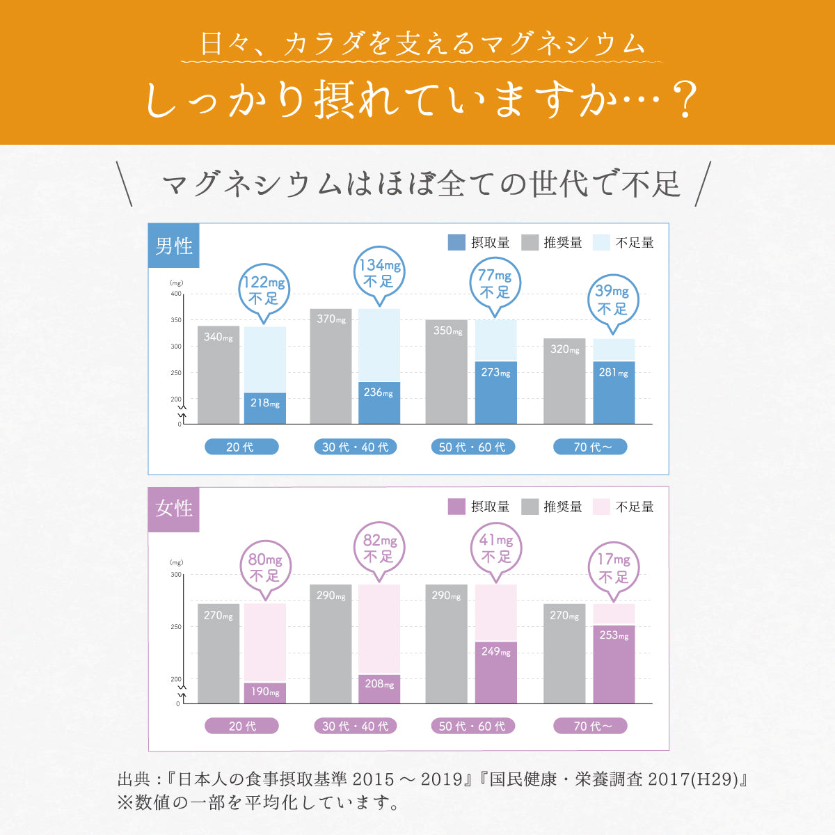 濃縮マグネシウム 500ml 2本