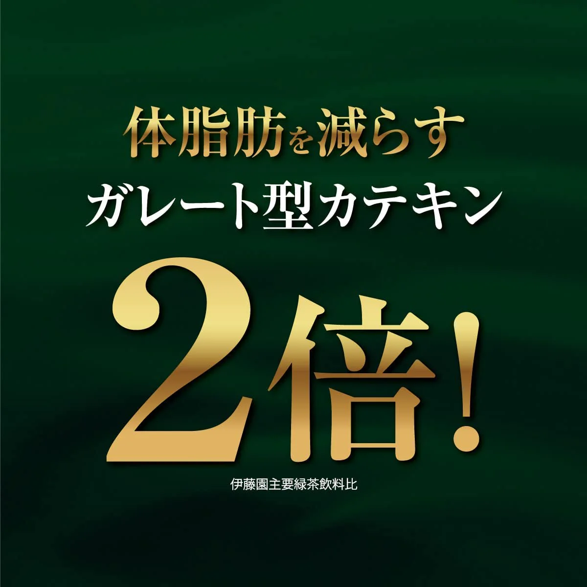 【送料無料】伊藤園 お〜いお茶 濃い茶 1000ml×1ケース/12本