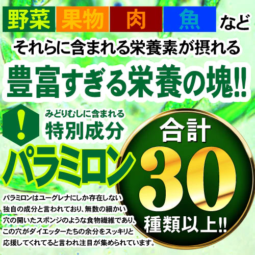 【約6ヵ月分/360粒入り】ユーグレナ ダイエッター必見の話題の成分 クロレラ ビタミン 酵素 大麦若葉 サプリメント サプリ 大容量 送料無料 ユーグレナ約6ヵ月分（360粒）