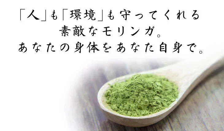 インド産 モリンガパウダー 100g×1袋 パウダー（2月下旬より順次発送）