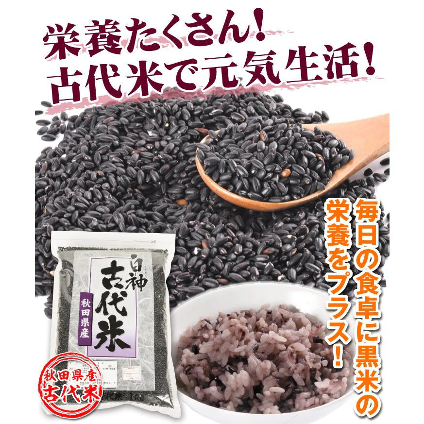 黒米 1kg 1袋 秋田産 白神古代米 もち玄米【2025年1月中旬より発送】