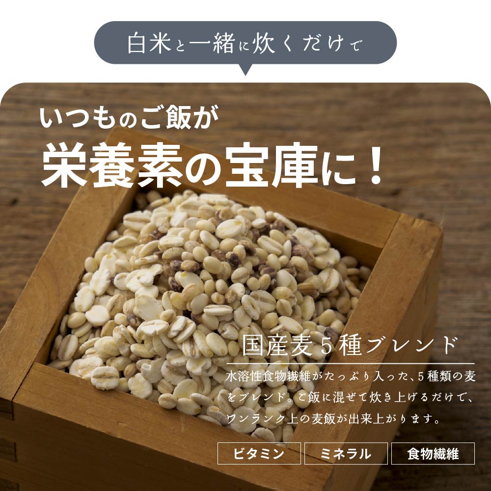 雑穀 雑穀米 国産 麦５種ブレンド 400g お試しサイズ [丸麦/押麦/はだか麦/もち麦/はと麦] 無添加 無着色 送料無料 ポスト投函