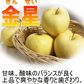 青森県産 りんご 金星 5kg箱【加工用】　★金星 加 5kg 箱