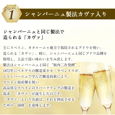 【送料無料】 シャンパーニュ製法入り スパークリングワイン 12本セット [W][WT65] ワインセット オーガニックワイン ロゼワイン カヴァ 入り フランスワイン イタリアワイン 【4～5営業日以内に出荷】
