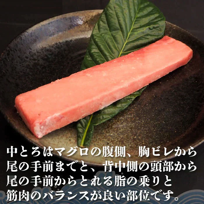 ×ダブリデータ　074-01が正　中とろ　５００ｇ以上保証！ 豊洲 お刺身 海鮮 丼 中トロ 柵 メバチ マグロ