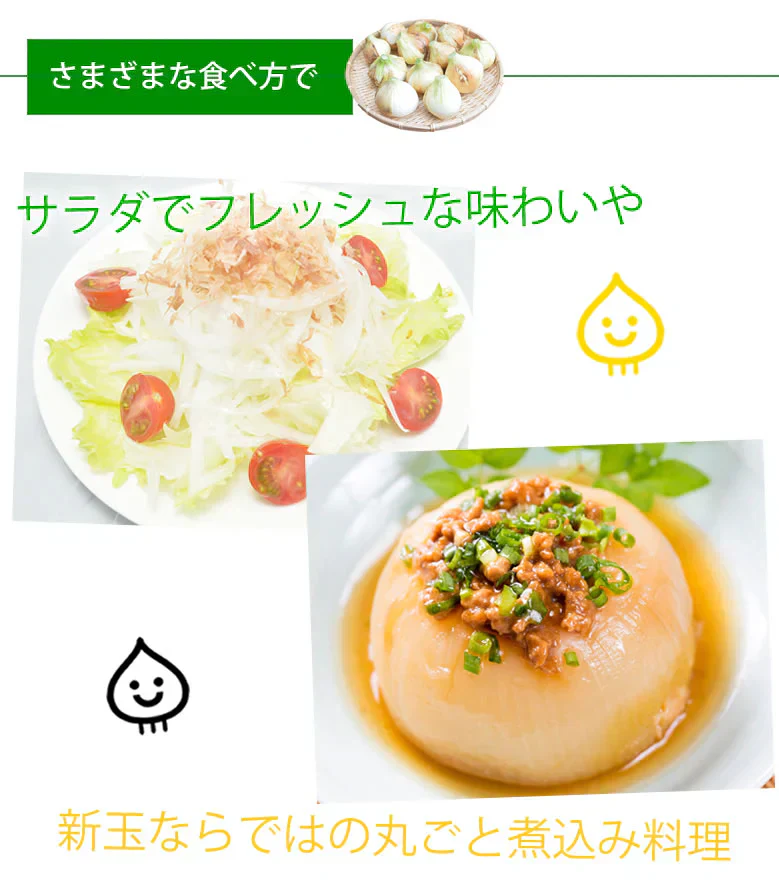 玉ねぎ サラダ玉ねぎ 10kg 送料無料 新玉 S～L 熊本県産 玉葱 たまねぎ 野菜