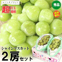 福島県産 秀品 シャインマスカット 大房２房セット