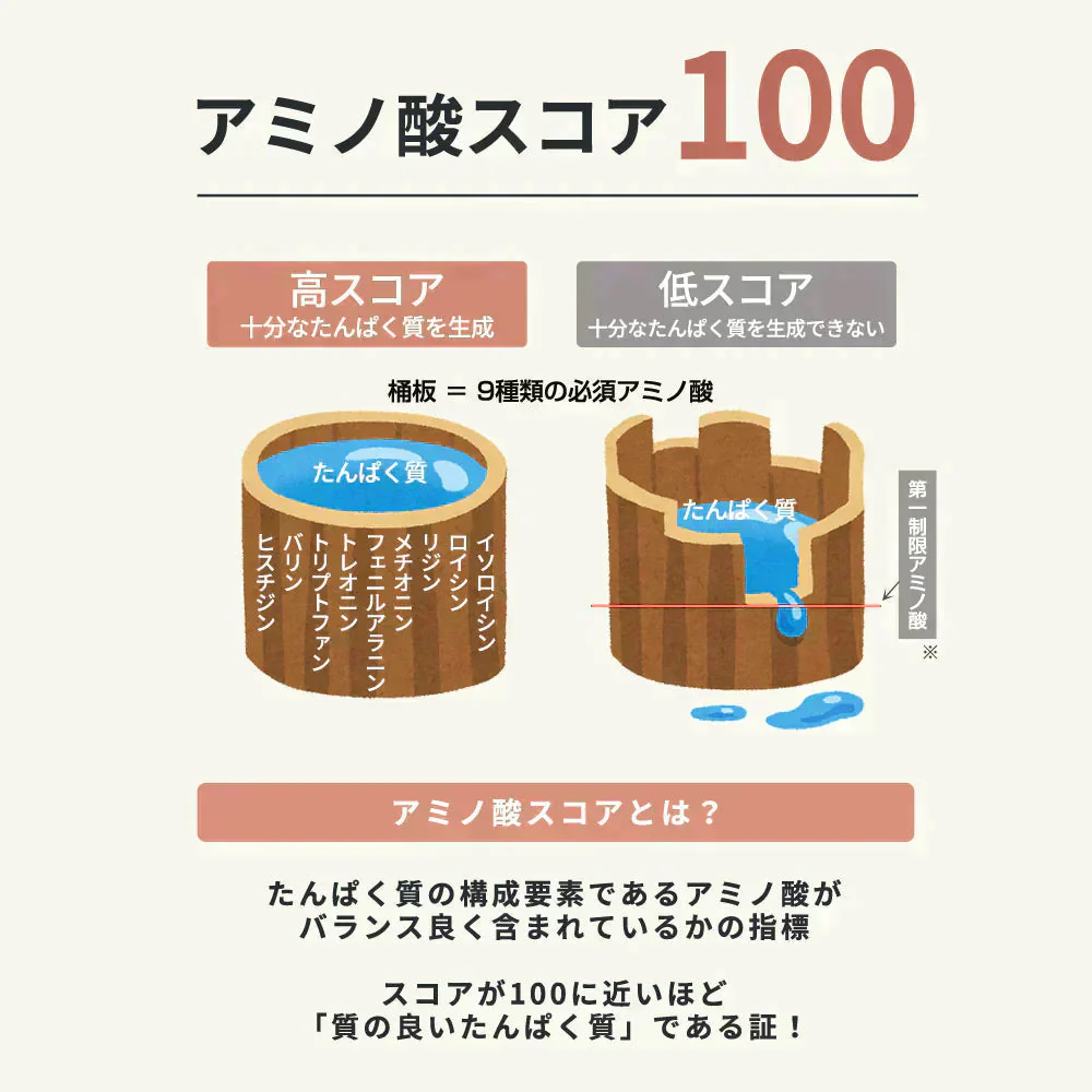【終了】プロテイン 1kg レモンヨーグルト風味 ザプロ THE PROTEIN ホエイプロテイン WPCプロテイン ぷろていん プロテイン ザプロ 武内製薬 甘すぎない 低糖質 高 タンパク質 低脂質 筋トレ 置き換えダイエット ダイエットプロテイン ビタミン アミノ酸