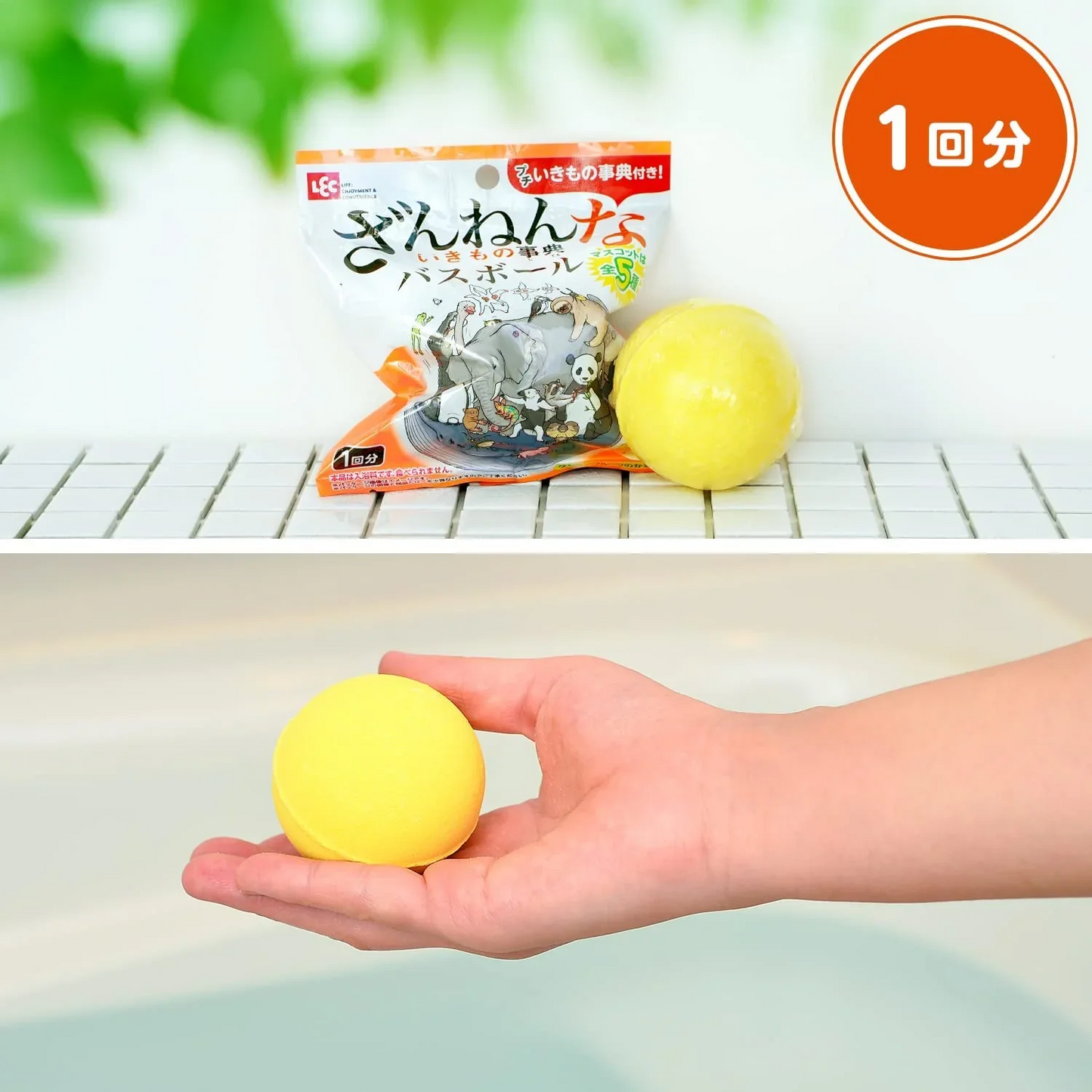 3個セット　バスボール　ざんねんないきもの事典 　グレープフルーツの香り
