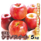 りんご 5kg シナノスイート 青森産 （発送予定：12月上旬より）