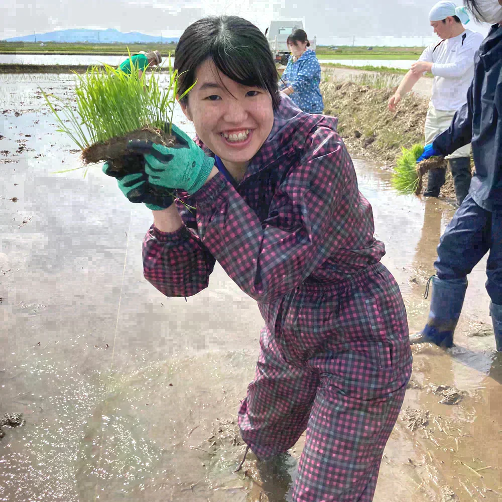 秋田県産 あきたこまち 無洗米30kg（5kg×6袋） 令和7年産 【古代米プレゼント付き】