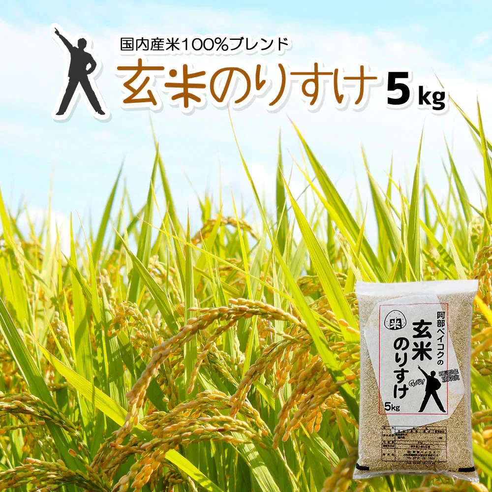玄米 5kg 玄米のりすけ 国内産 送料無料 玄米5キロ こめ コメ お米 お米5kg お米5キロ