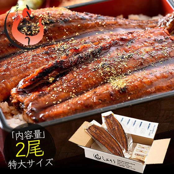 うなぎ 蒲焼き ウナギ 鰻 無頭 国産 特大サイズ 約200g×2尾 国産鰻 うなぎの蒲焼 蒲焼 鰻の蒲焼 美味しい うなぎ蒲焼 国産うなぎ ウナギ蒲焼き 鰻蒲焼 国産うなぎ蒲焼 食品ギフト 贈り物 国産ウナギ 送料無料 旬の味覚 グルメ 食品 母の日 プレゼント ギフト  母の日思いの