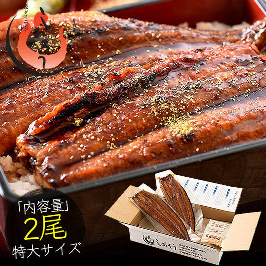 うなぎ 蒲焼き ウナギ 鰻 無頭 国産 特大サイズ 約200g×2尾 国産鰻 うなぎの蒲焼 蒲焼 鰻の蒲焼 美味しい うなぎ蒲焼 国産うなぎ ウナギ蒲焼き 鰻蒲焼 国産うなぎ蒲焼 食品ギフト 贈り物 国産ウナギ 送料無料 旬の味覚 グルメ 食品 母の日 プレゼント ギフト  母の日思いの