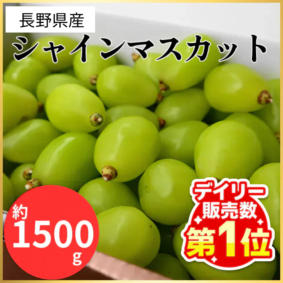 長野県産 シャインマスカット 約1.5kg(1-3房)