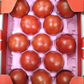 トマト 高糖度フルーツトマト 国産 ご家庭用 茨城県産 約900g（9〜16玉入） 糖度9度以上 中玉トマト 高級 ギフト プレゼント 産地直送 甘い 国産 ジュース ゼリー
