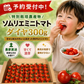 予約【2026年12月前後～2027年2月28日までに順次発送】＼特別栽培農産物／ ソムリエミニトマト　ダイヤ　３００ｇ（補償100g込み）※補償分以上の不良は交換対応可能【カウシェファーム収穫対象商品】