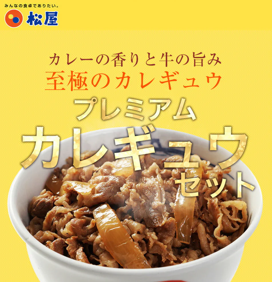 【タイムセール】『カレギュウセット』牛めし×10、カレー×10 牛丼の具 牛丼 ぎゅうどん