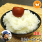 米 長野県飯綱産 ミルキークイーン 白米 18kg 令和7年産 YOU優FARM