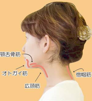 【手軽に二重あご解消】二重あごスリマー 二重あご 美容 フェイスライン 小顔 簡単 手軽 美容雑貨 ダイエット マッサージ  二重顎 解消 肩こり 解消 ストレッチ スマホ首 むくみ コンパクト 持ち運び 強度調節