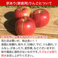【2023年産予約開始！】秋映 訳あり 約4.5kg (12-25玉) 9月下旬頃発送開始予定 #YAA0B045