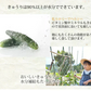 漬物 きゅうり醤油漬 無添加 400g(100g×4袋) 送料無料 九州醤油仕立て ポッキリ お試し 宮崎県産 お取り寄せ きゅうり つけもの【プチプラ特集】