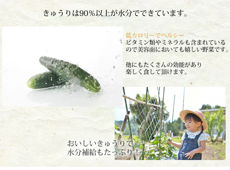 漬物 きゅうり醤油漬 無添加 400g(100g×4袋) 送料無料 九州醤油仕立て ポッキリ お試し 宮崎県産 お取り寄せ きゅうり つけもの【プチプラ特集】