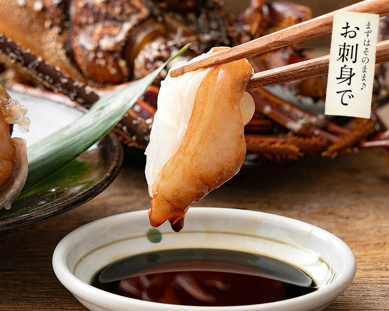伊勢海老 千葉県産 外房イセエビ 特大サイズ600g×1尾 刺身 冷凍 伊勢エビ 伊勢えび えび エビ 海鮮 魚介 プリプリ 濃厚 グルメ 贈り物 ［送料無料］ 母の日 プレゼント ギフト  母の日思いの 健康 実用的 父の日 子供 孫