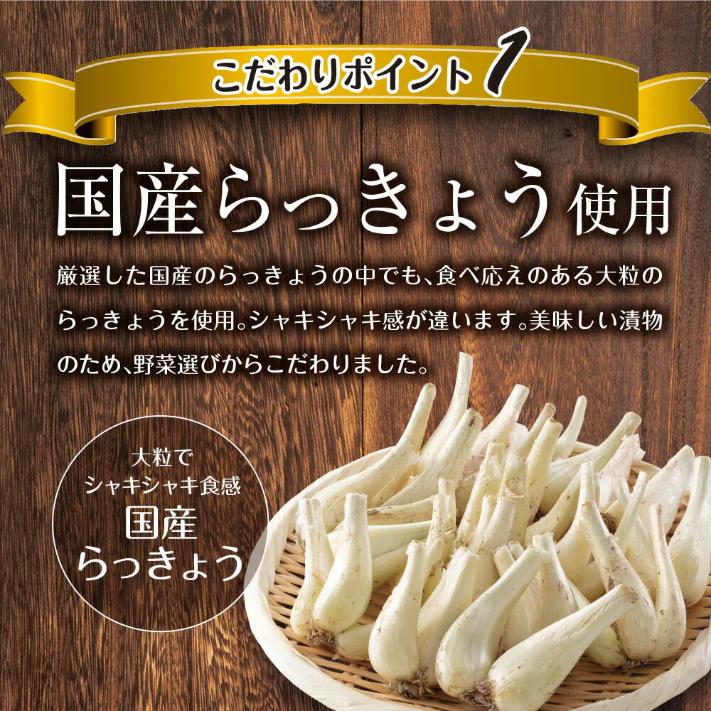 日本橋いなば園 国産シャキシャキらっきょうたまり漬け 140g ネコポス メール便送料無料