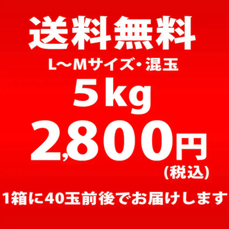 じゃがいも 北海道 グラウンドペチカ 変わった品種 送料無料 5ｋｇ 産地直送 ジャガイモ 北海道産 デストロイヤー