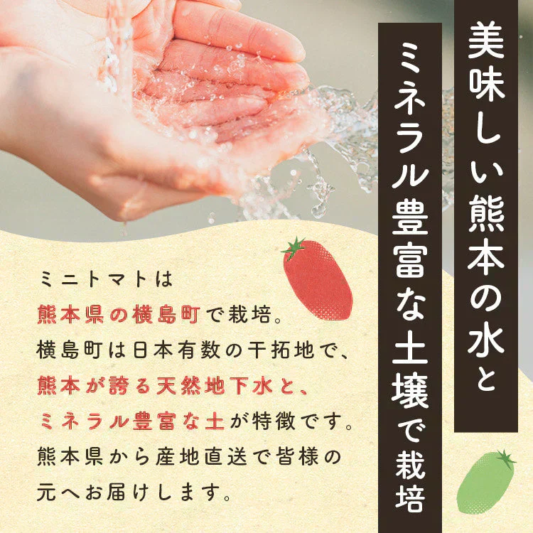 1kg  家族の笑顔が広がる完熟ミニトマト「トマランタン」【ご新規さん限定商品】