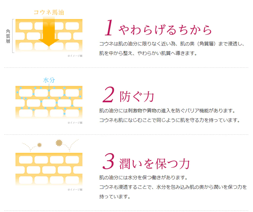 馬油プラセンタ化粧品 コウネ スキニーローション〈初回限定〉トライアルサンプルセットをプレゼント★　化粧水　保湿　潤い　乾燥　スキンケア　コラーゲン　エラスチン　ヒアルロン酸　しっとり　ギフト
