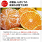 小玉 みかん 送料無料 訳あり みかん 小粒 1.5kg 家庭用 箱買い 果物 小粒 熊本 極早生 柑橘 九州 訳アリ だけど 小玉 で 甘い 蜜柑 わけあり 《9月末-10月下旬頃より発送予定》