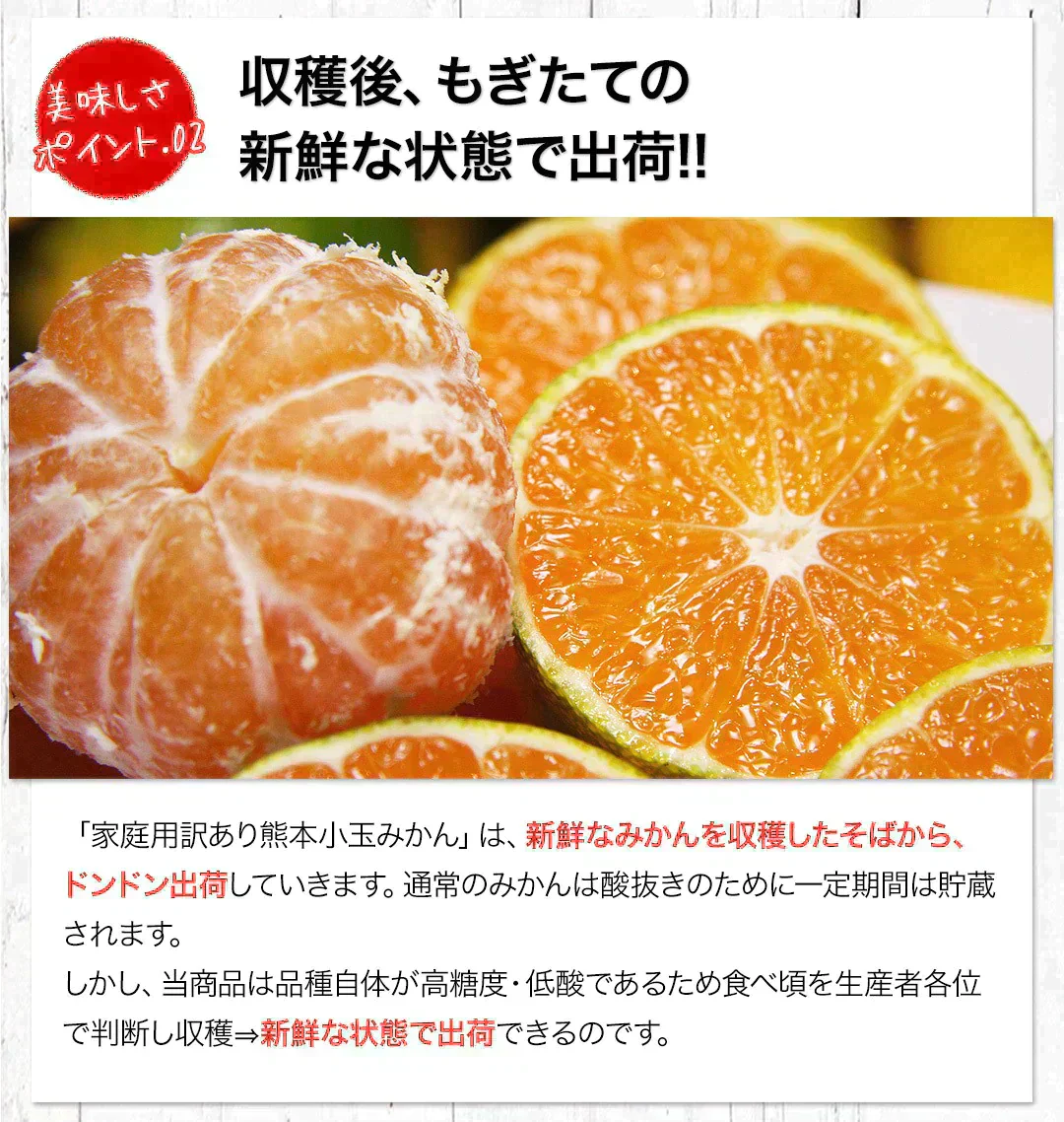 小玉 みかん 送料無料 訳あり みかん 小粒 1.5kg 家庭用 箱買い 果物 小粒 熊本 極早生 柑橘 九州 訳アリ だけど 小玉 で 甘い 蜜柑 わけあり 《9月末-10月下旬頃より発送予定》