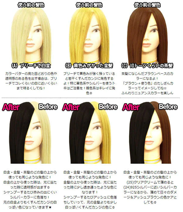 エンシェールズ カラーバター 200g ダークシルバー ヘアカラー トリートメント ヘアマニキュア ヘアケア クリップジョイント マニキュア インナーカラー ダメージヘア ブリーチヘアー