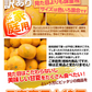 みかん　大分産　甘夏　1.5kg　ご家庭用（発送予定：2025年3月下旬より）