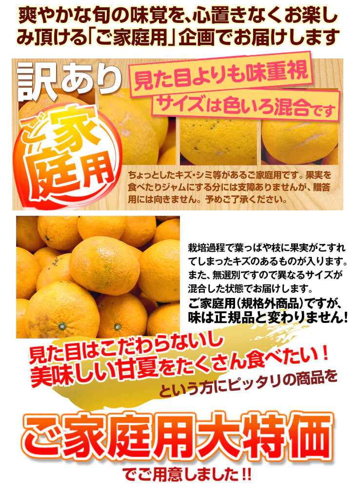 みかん　大分産　甘夏　1.5kg　ご家庭用（発送予定：2025年3月下旬より）