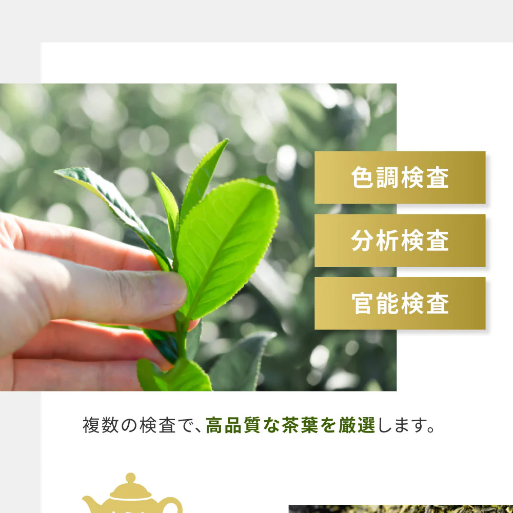 風土日和 有機抹茶入り玄米茶 無農薬高級茶葉 100g 賞味期限：2025年10月15日 カウシェ限定 | オーガライフ
