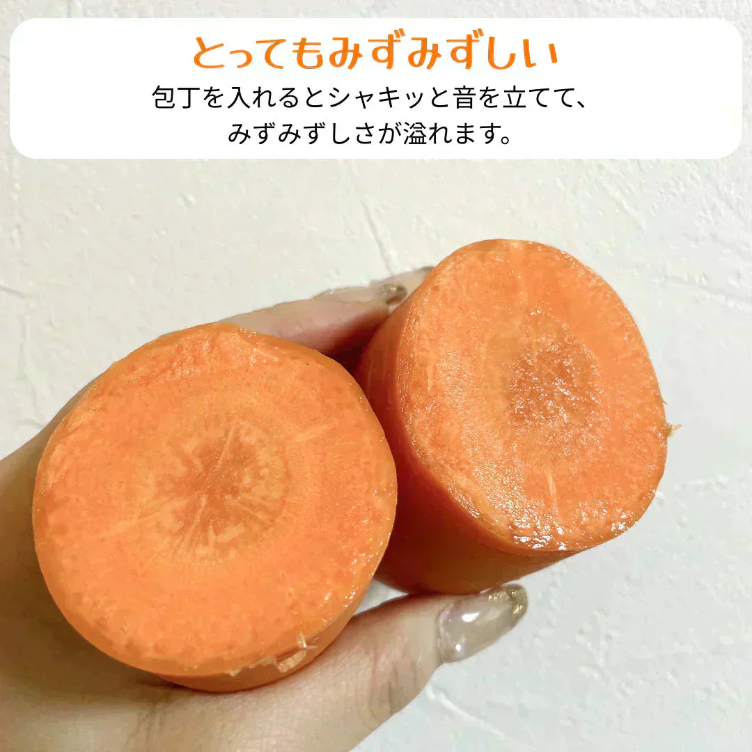 【有名ホテル御用達】甘〜い にんじん 10kg(1kg×10p) 農家 人参 ニンジン 野菜 フルーツ 青果 果物 フルーツ 市場 ギフト 食品 家庭用 贈答 料理