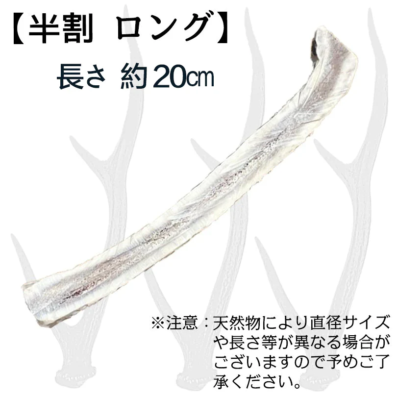 Deerhorn【半割ロング】 北海道産 鹿角 ペット 犬 おもちゃ 小型犬 半割 プレゼント いたずら防止 おやつ デンタルケア ガム 犬用 鹿の角 天然 無添加 送料無料 S 柴犬 コーギー いぬ イヌ チワワ トイプードル
