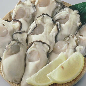 岡山日生（ひなせ）産 冷凍牡蠣 Lサイズ 総重量約1kg袋（30～40粒）×2袋