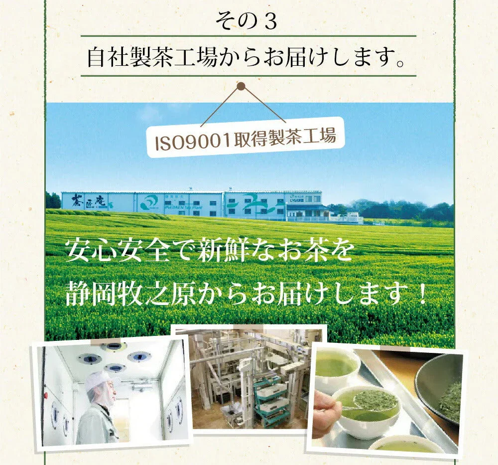 【2個セット】日本橋いなば園 静岡深蒸し茶 掛川茶 100g メール便 送料無料